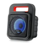 INTEX IT 202 12W Bluetooth Speaker WITH MIC