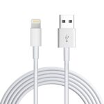 Usb To Lightning Data Cable (White)